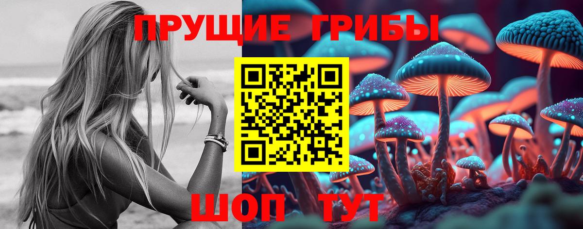 Галлюциногенные грибы Cubensis  Вход с VPN  Гай  Псилоцибиновые грибы Psilocybe 